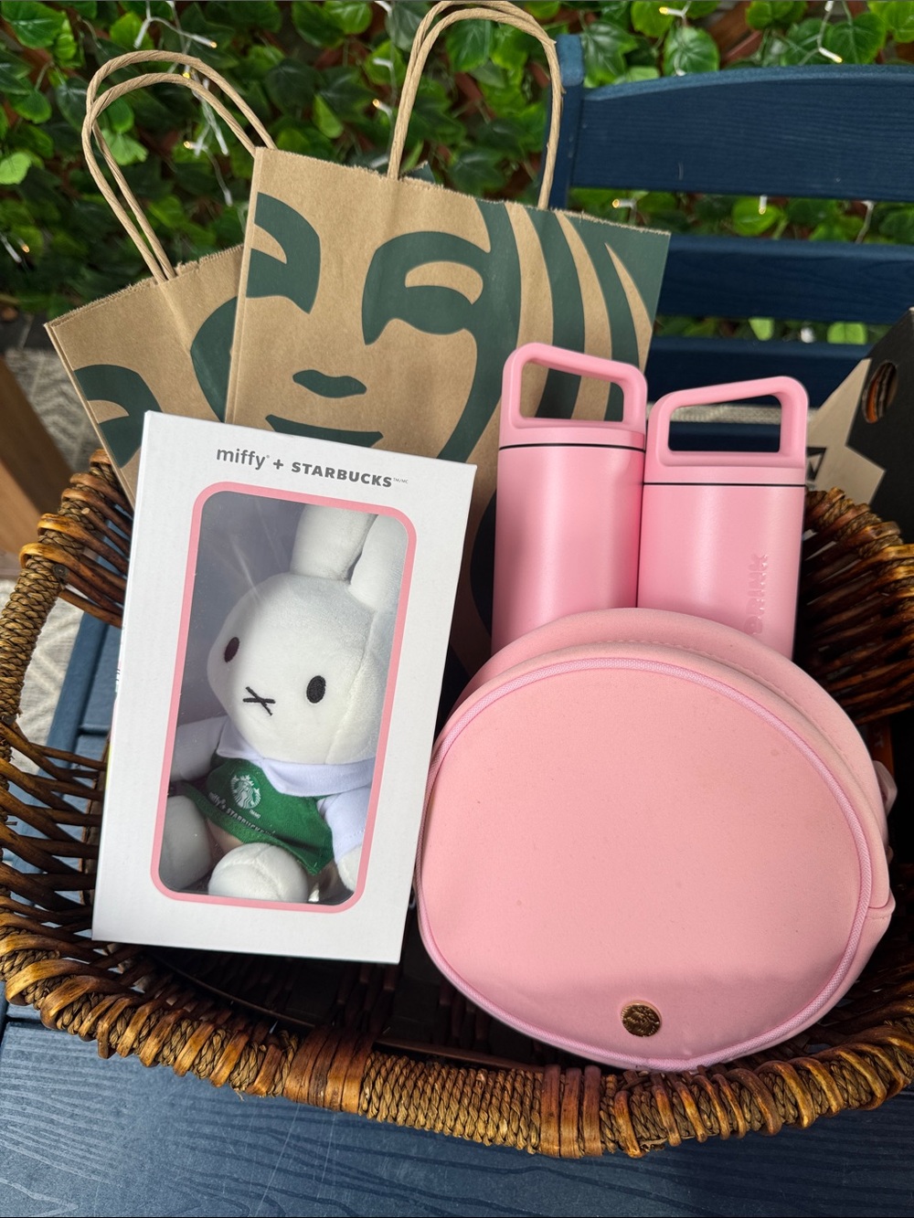 Starbucks pink drink bundle